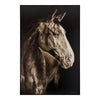 John Richard LM Zhou's Noble Equine