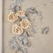 John Richard LM Zhou's Hanging Rose Garden I