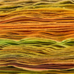 John Richard Tony Fey's Sunset Strata