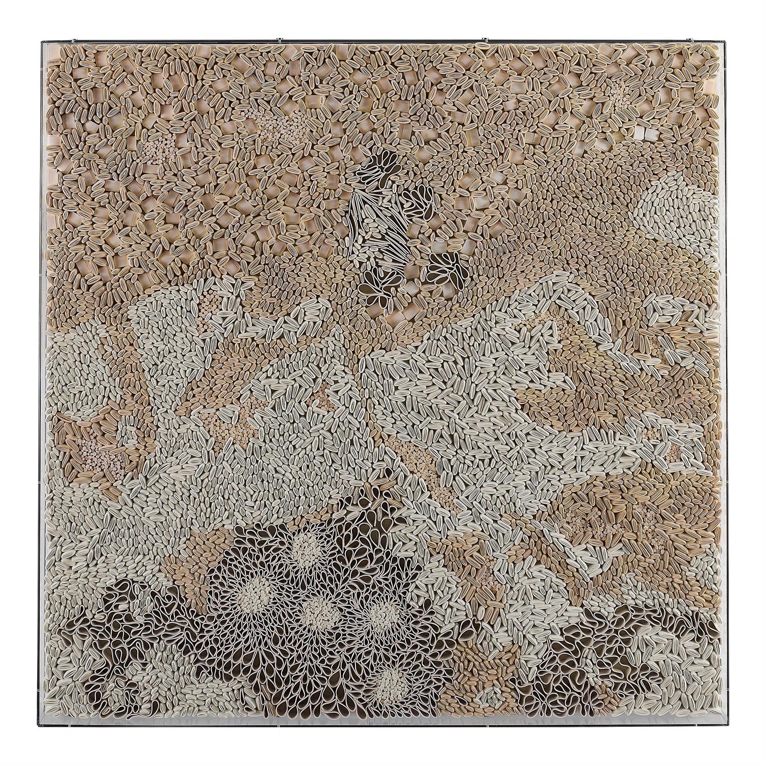 John Richard Tony Fey's Shifting Sands