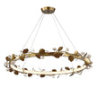 Uttermost Biscotti LED Bronze Chandelier
