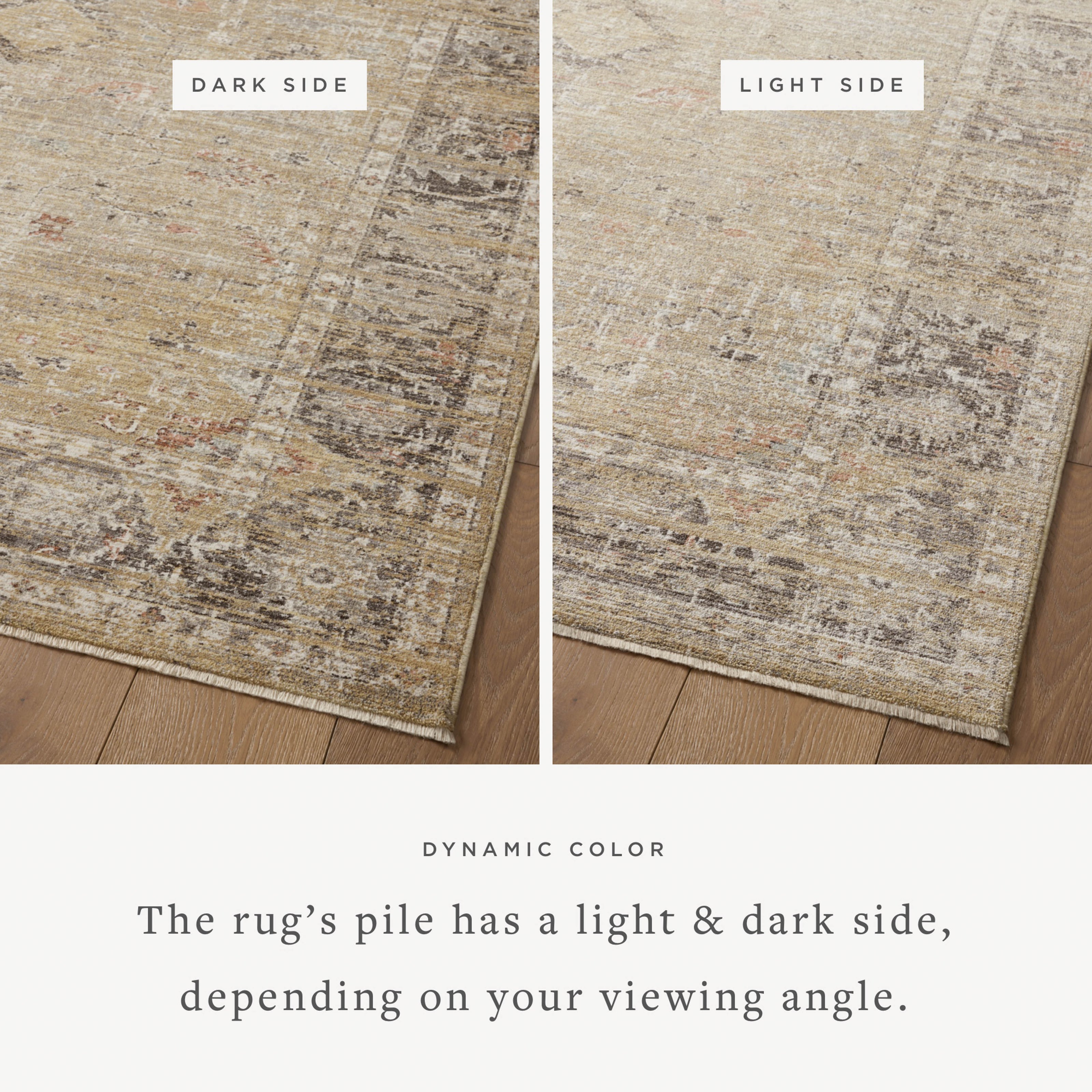 Magnolia Home Millie MIE-03 Rug Gold / Charcoal