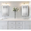 Modern Accents Beveled Panel Mirror