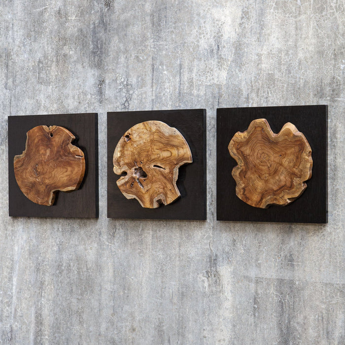 Uttermost Kolini Teak Wood Wall Decor - Set of 3
