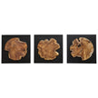 Uttermost Kolini Teak Wood Wall Decor - Set of 3