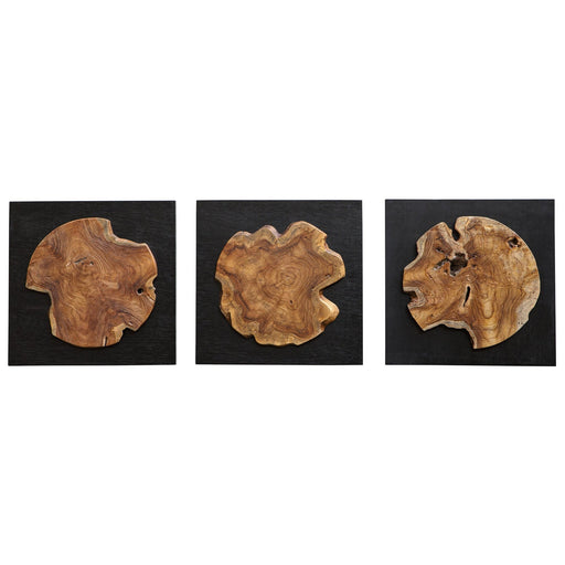Uttermost Kolini Teak Wood Wall Decor - Set of 3