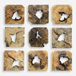 Uttermost Bahati Wood Wall Decor - Set of 9