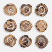 Uttermost Corkscrew Wood Wall Decor - Set of 9