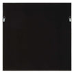 Uttermost Tiger Sea Urchin Shadow Box