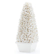 Villa & House Mayfair Tall Boxwood Topiary by Bungalow 5