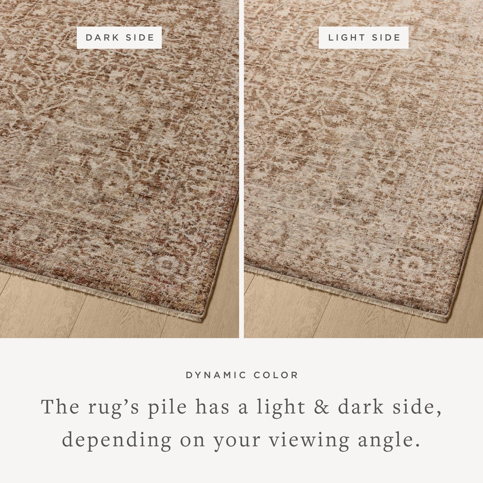 Loloi II Newman NEW-02 Bark / Natural Rug DC10