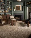 Loloi II Newman NEW-02 Dark Taupe / Natural Rug DC10