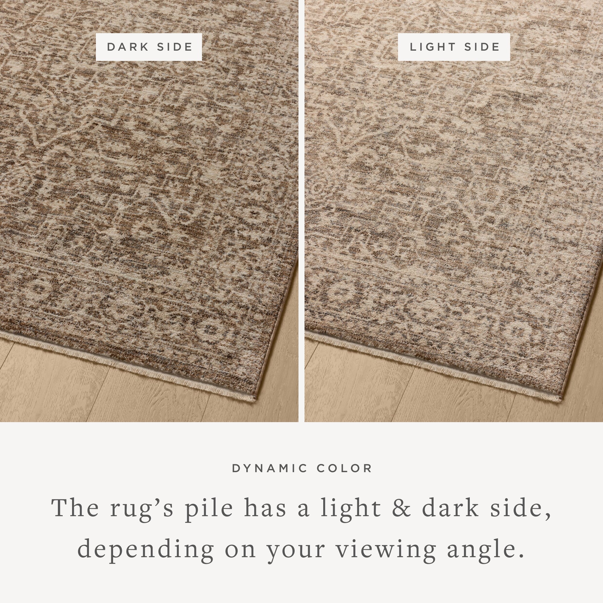 Loloi II Newman NEW-02 Dark Taupe / Natural Rug DC10