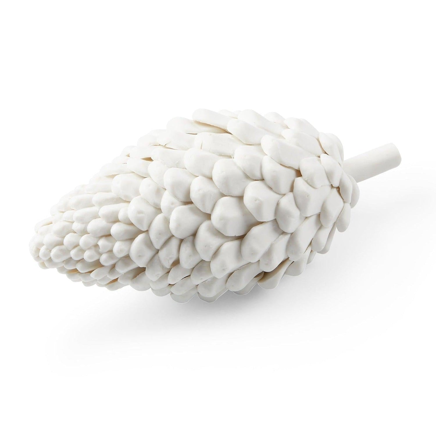 Villa & House Laying Pine Cone