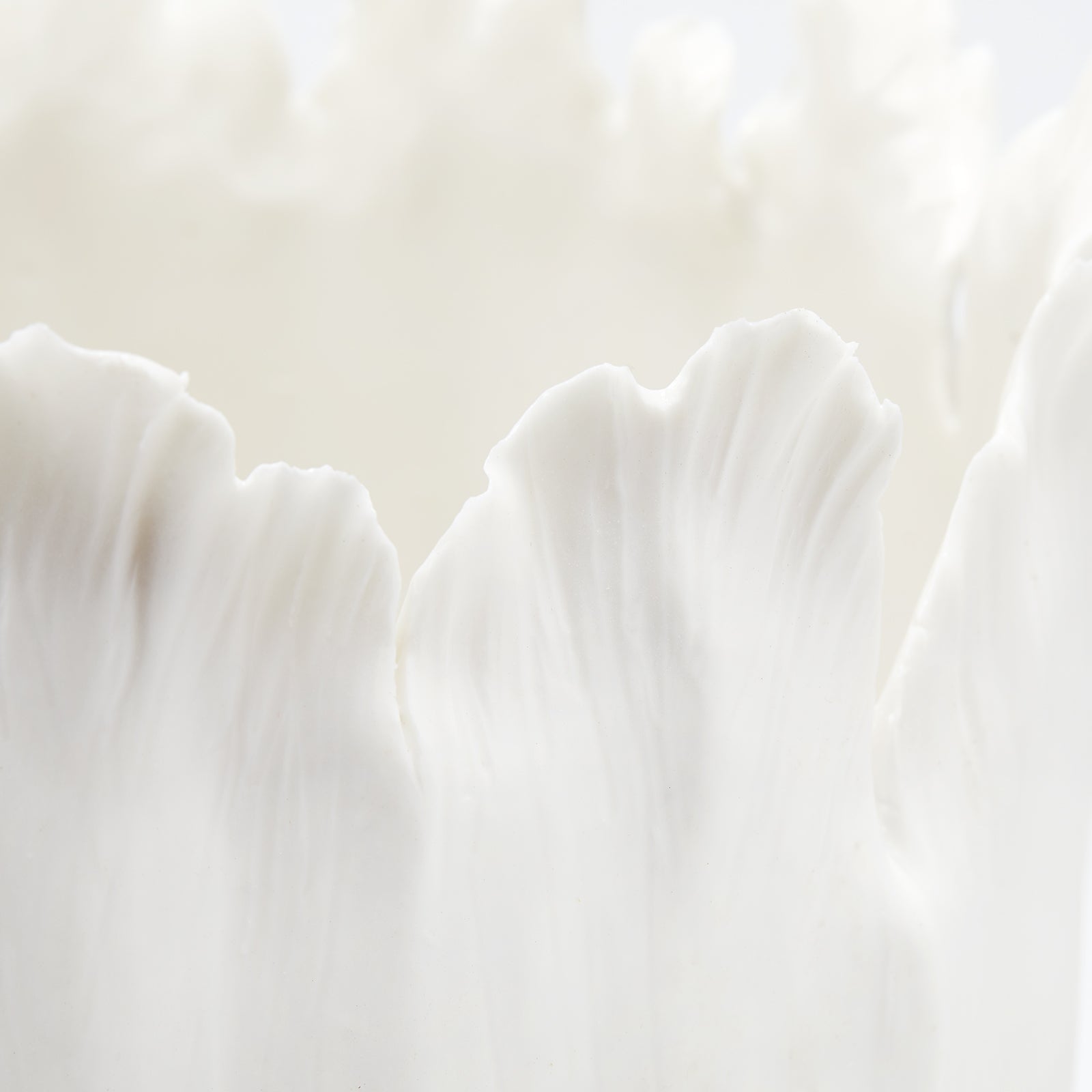 Villa & House Tulip Vase