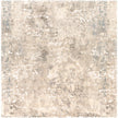 Livabliss by Surya Tuscany TUS-2304 Rug