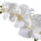Uttermost Cami White Orchid