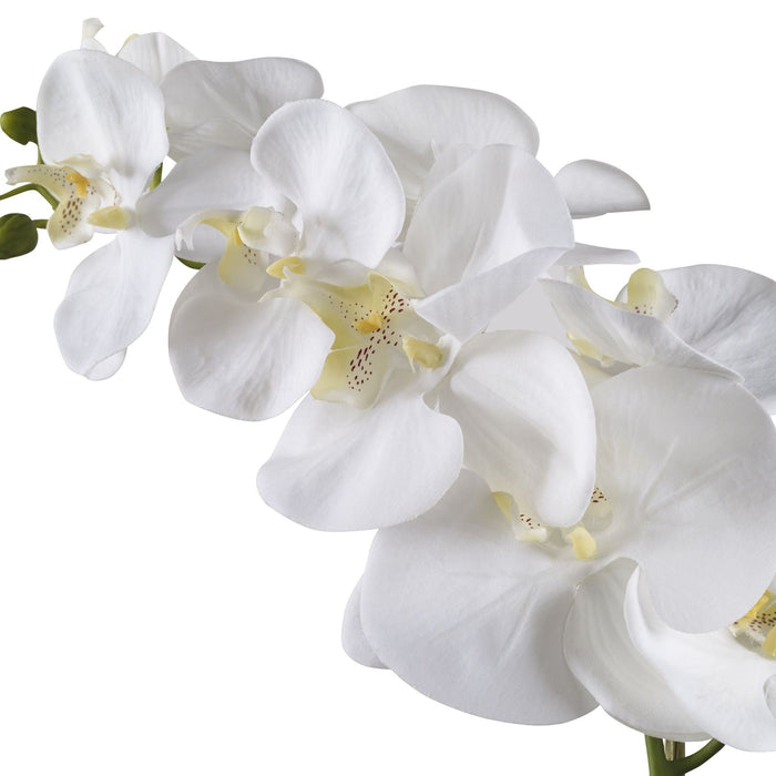 Uttermost Cami White Orchid