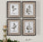 Uttermost Casual Grey Study Framed Art - Set of 4