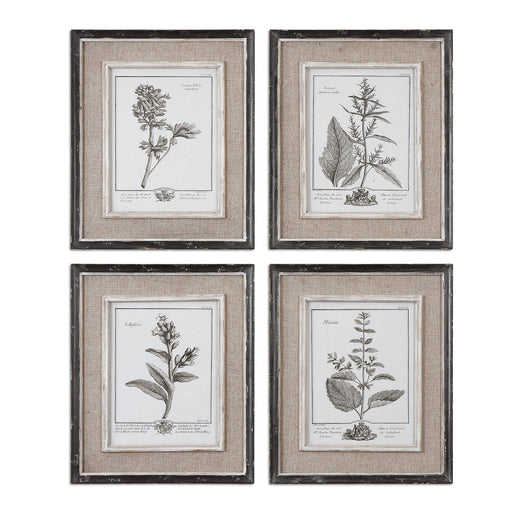 Uttermost Casual Grey Study Framed Art - Set of 4