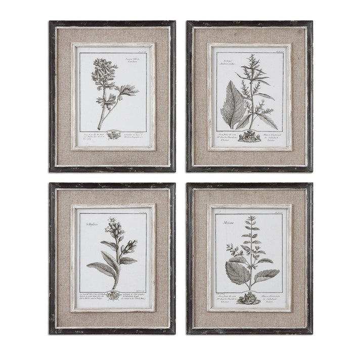 Uttermost Casual Grey Study Framed Art - Set of 4