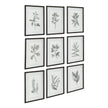 Uttermost Farmhouse Florals Framed Prints - Set of 9