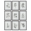 Uttermost Farmhouse Florals Framed Prints - Set of 9