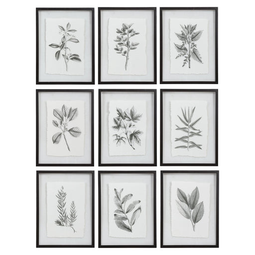 Uttermost Farmhouse Florals Framed Prints - Set of 9