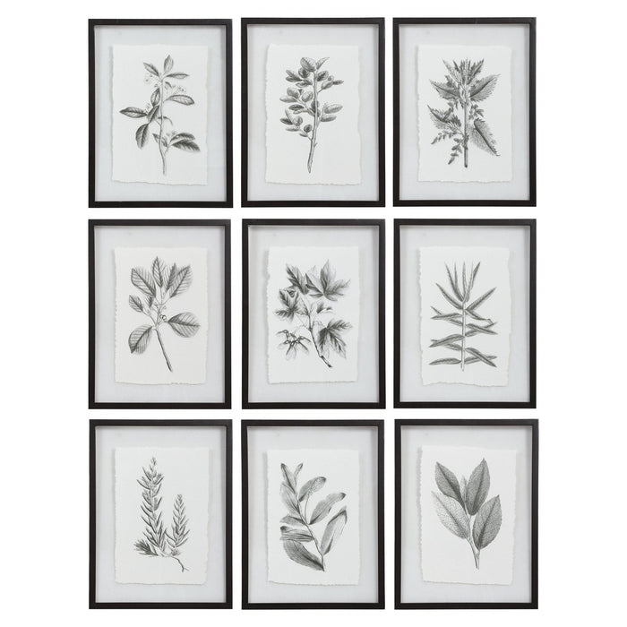 Uttermost Farmhouse Florals Framed Prints - Set of 9