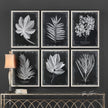 Uttermost Foliage Framed Prints - Set of 6