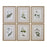 Uttermost Green Floral Botanical Study Prints - Set of 6