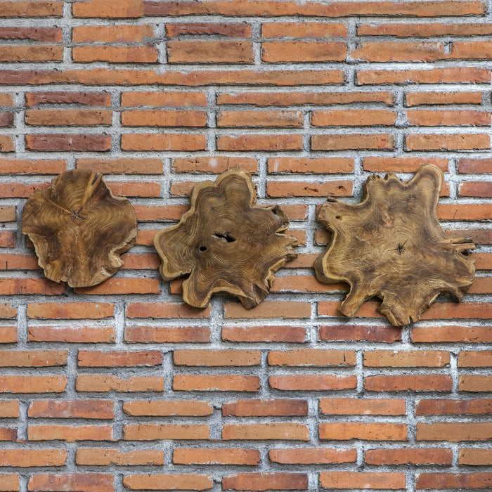 Uttermost Kalani Teak Wall Art - Set of 3