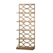 Uttermost Lashaya Gold Etagere