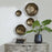 Uttermost Lucky Coins Brass Wall Bowls - Set of 4