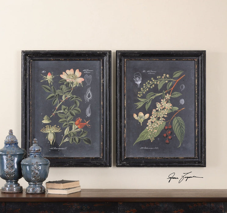 Uttermost Midnight Botanicals Wall Art - Set of 2