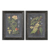Uttermost Midnight Botanicals Wall Art - Set of 2