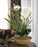 Uttermost Moth Orchid Planter