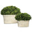Uttermost Oval Domes Preserved Boxwood - Set of 2