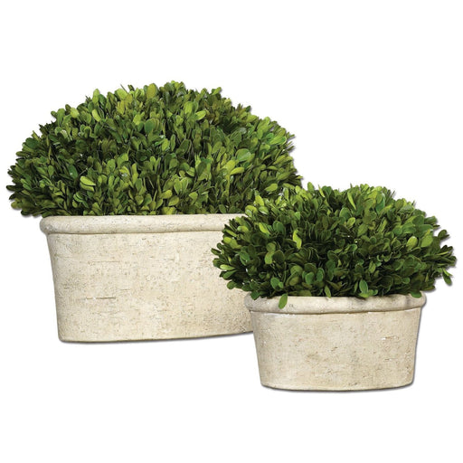 Uttermost Oval Domes Preserved Boxwood - Set of 2
