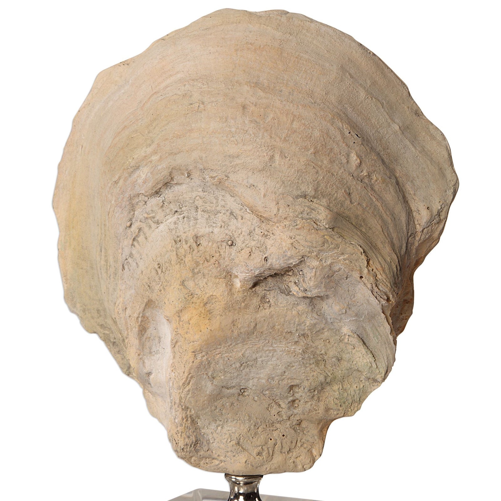 Uttermost Oyster Shell Sculptures - Set of 2