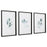 Uttermost Simple Sage Watercolor Prints - Set of 3