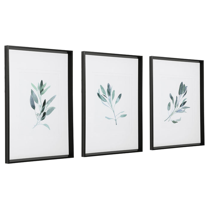 Uttermost Simple Sage Watercolor Prints - Set of 3