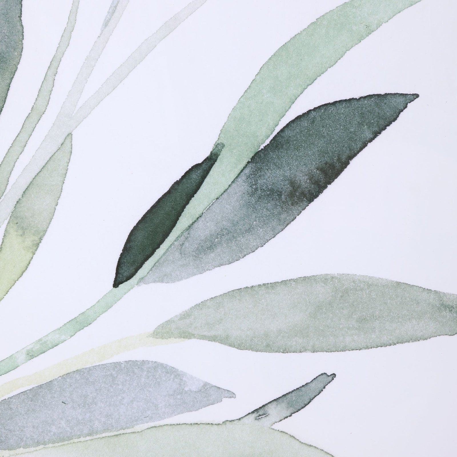 Uttermost Simple Sage Watercolor Prints - Set of 3