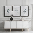 Uttermost Simple Sage Watercolor Prints - Set of 3