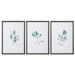 Uttermost Simple Sage Watercolor Prints - Set of 3