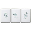 Uttermost Simple Sage Watercolor Prints - Set of 3
