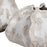 Uttermost Urchin Textured Ivory Vases - Set of 2