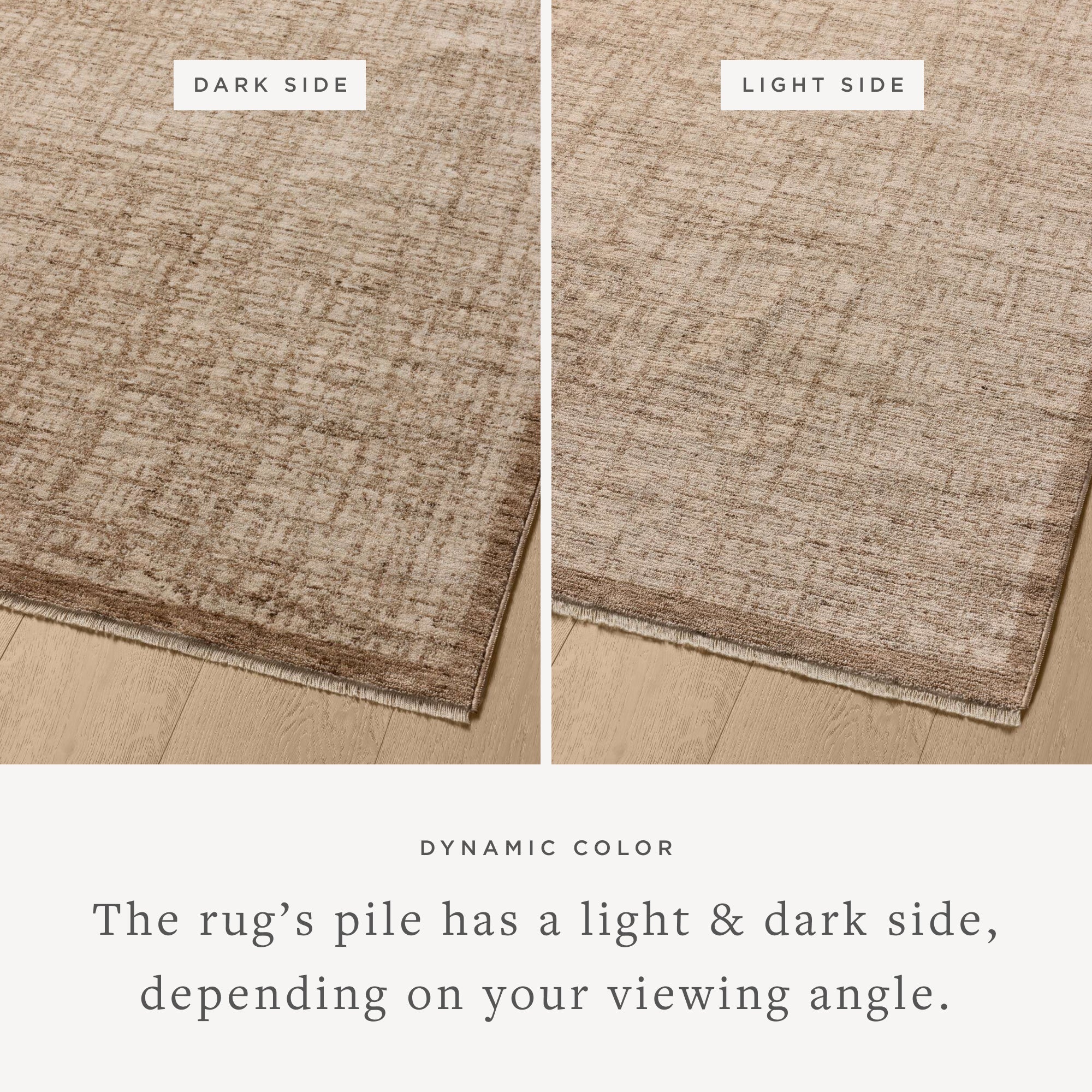 Loloi II Winston WIT-01 Earth / Bone Rug DC10