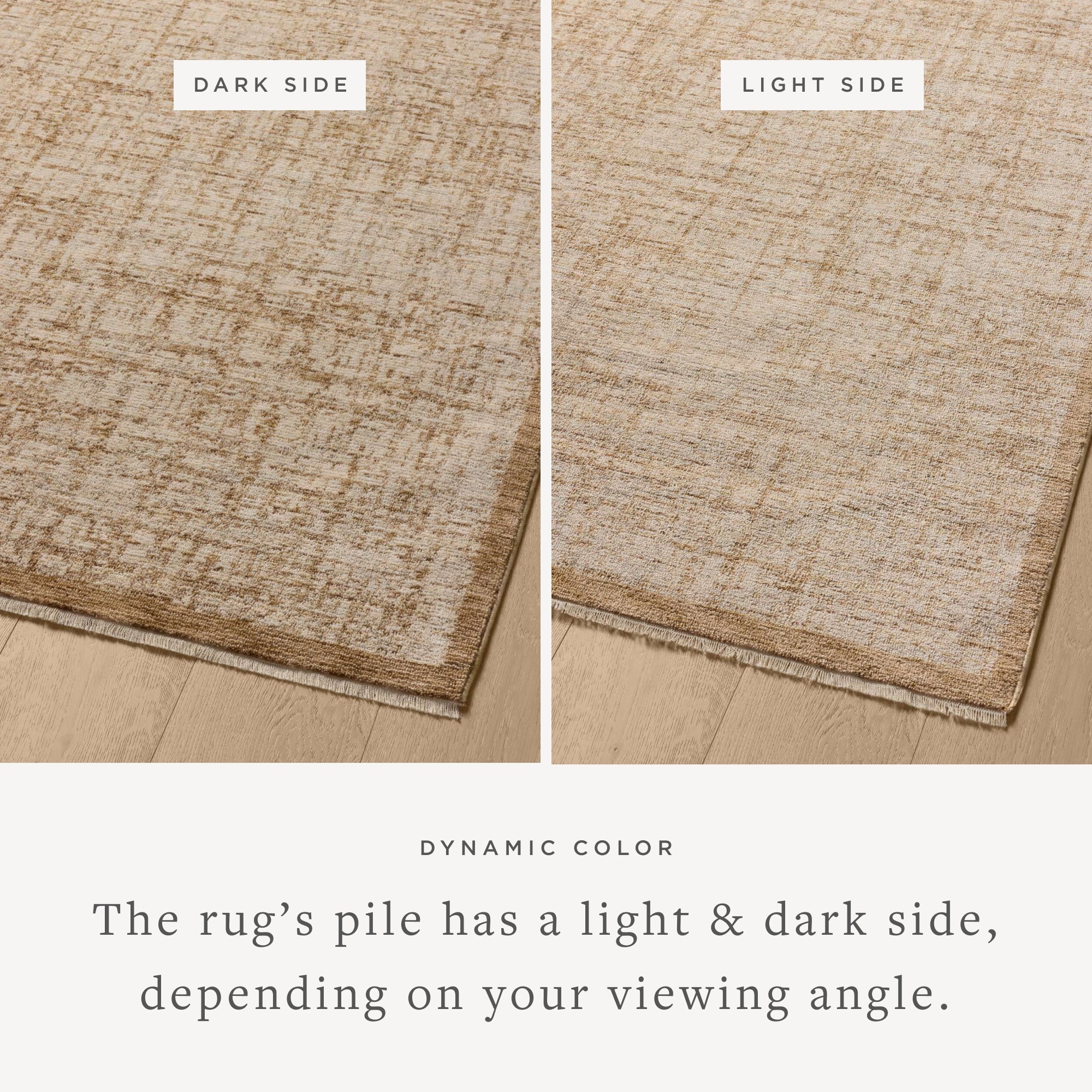 Loloi II Winston WIT-01 Spice / Bone Rug DC10
