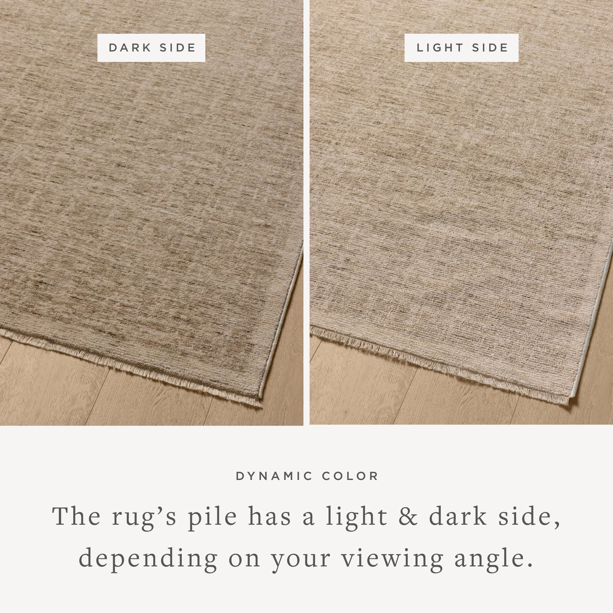 Loloi II Winston WIT-01 Taupe / Bone Rug DC10